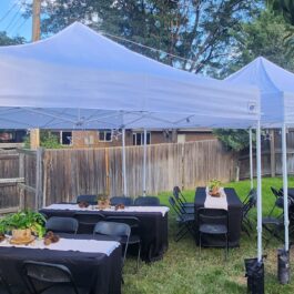 10x10 Pop up tent canopy in Back Yard